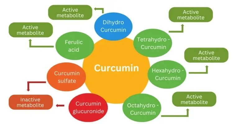 Vizualizacija spojeva kurkumina