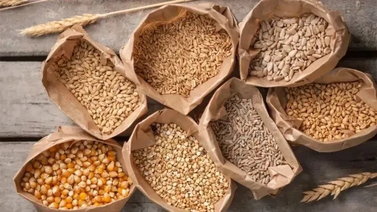 grains-oats-maize-Beta-Glucan-fiber-1296×728-header Naslovna slika za clanak Beta glukan za imunitet – Kako Beta glukan poboljšava imunitet i štiti organizam?